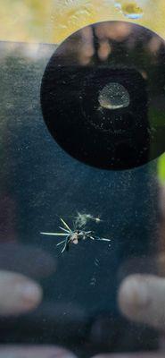 Red's Rock Chip Repair