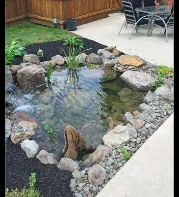 Luxury Solutions Lawn care