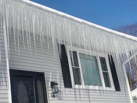 They are all around my house.  Some i cant reach the faster they come back. I didnt have this issue before the leafguards