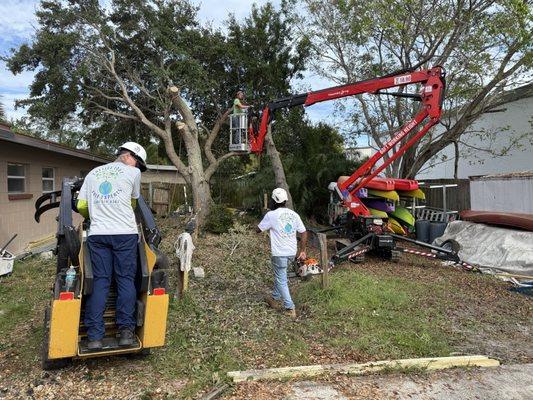 Cutting Edge Tree Experts