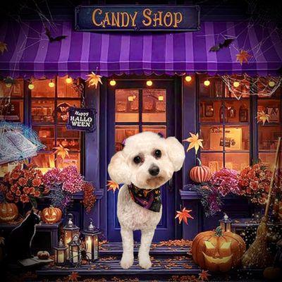 Bow Wow Station and Spa