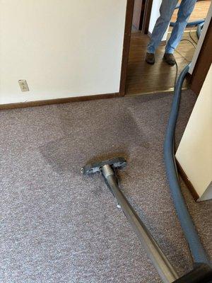 Stubbs Carpet Cleaning