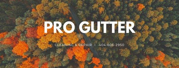 Pro Gutter Cleaning & Repair