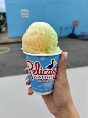 Pelican’s Snoballs