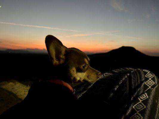 Redfeather Rehabilitation & Training