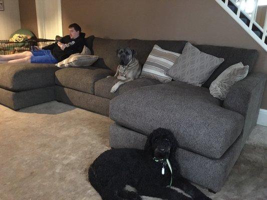 Our new couch freshly delivered!