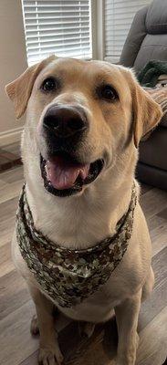 My boy was feeling fresh and clean!