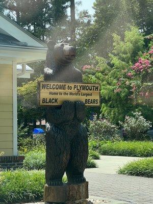 World's Largest Black Bears, oh my!