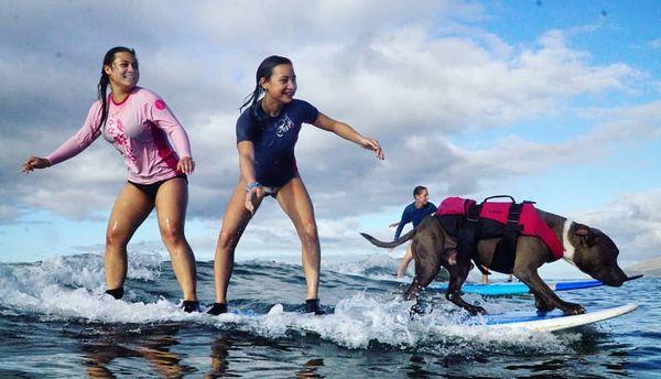 Maui's Coolest Surf Instructor.... Church