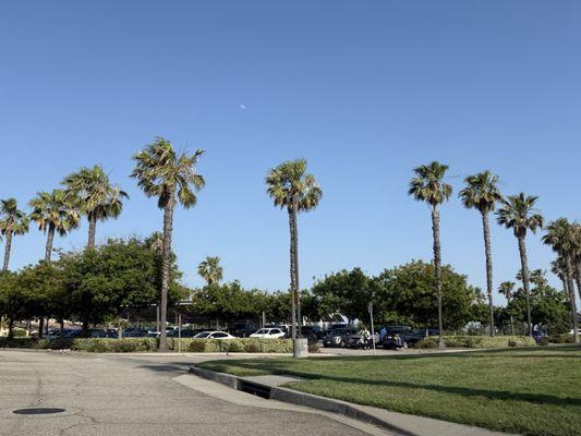 Goldy S. Lewis Community Center at Central Park