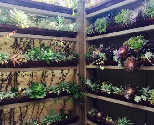 New location coming soon...