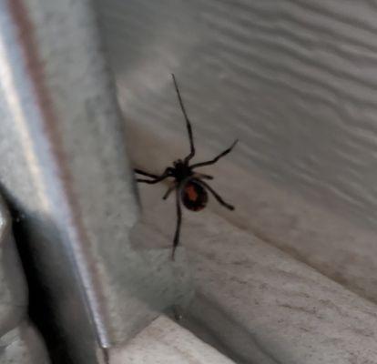 A & B Termite & Pest Control