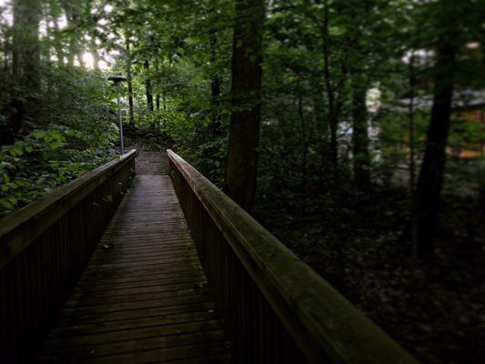 Dalton State College