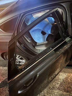 Microchip Auto Glass