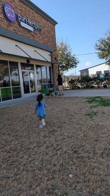 Purr-Fect Pets Round Rock