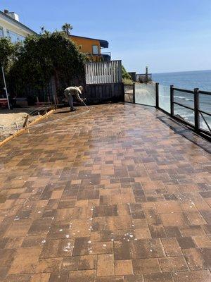 San Diego Green Planters