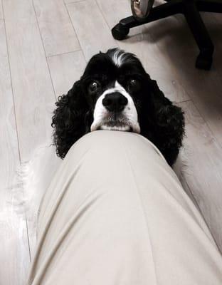 Linda S Falconio, MD