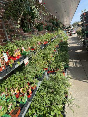 Westlake Ace Hardware