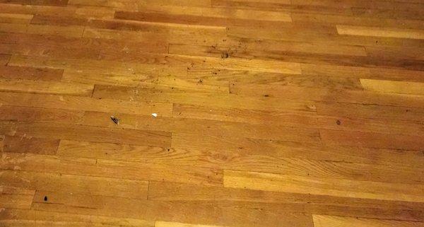 This is what the floor looked like in my rental when I moved in. This was acceptable according to Property Frameworks. It was sticky!