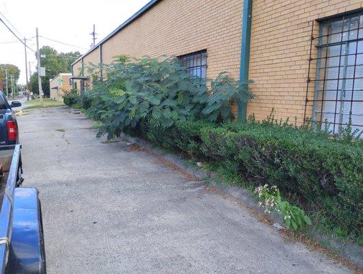 Lawn Care Services LLC