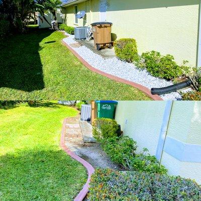 bed clean up - before and after