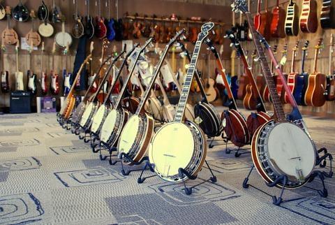 Tennessee Sounds logo