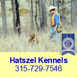 Hatszel Kennels