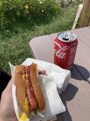 Perfect hot dog hit the spot