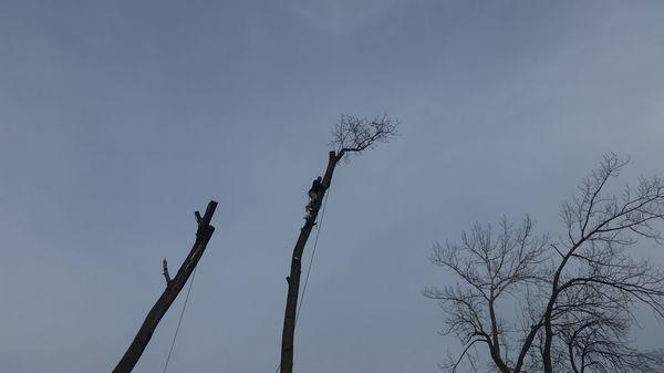 Hector & Sons Landscaping