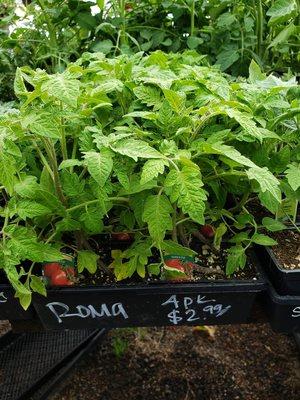 LeAnne's Flower Shop and Garden Center