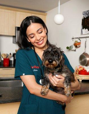 The Vets - Mobile Vet Care in Sacramento