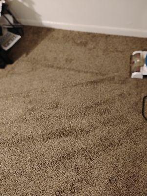 So blessed carpet cleaning services