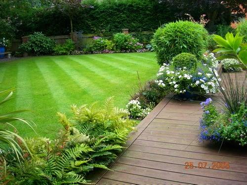 Organic Lawn Care