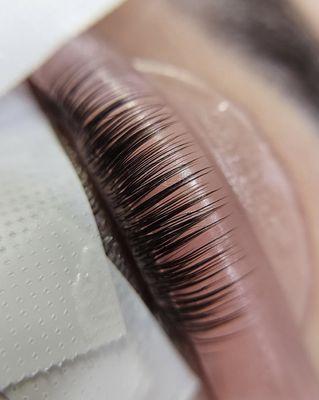 Lex Nicole Esthetics