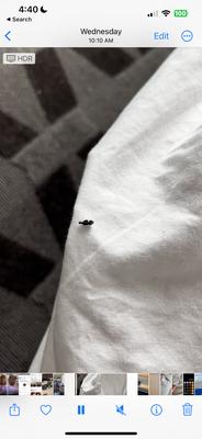 TownePlace Suites by Marriott Foley at OWA