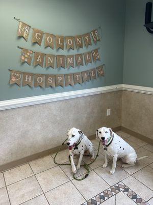 Colony Animal Hospital