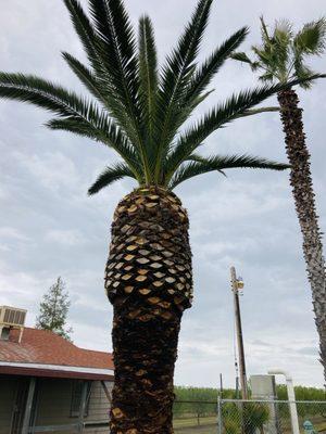 Johnny B Good Landscaping & Junk Removal