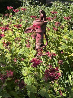 Rocky Acres Berry Farm