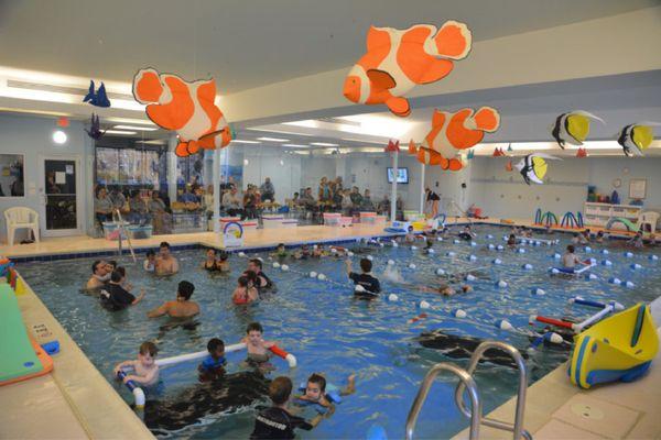 Little Flippers Swim School - Winchester
