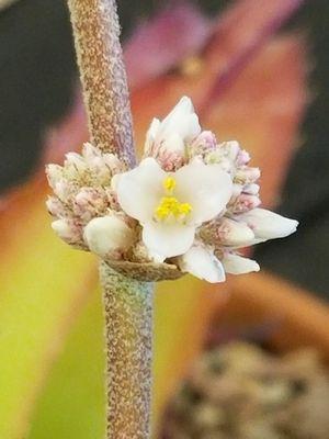 I cant remember what this was from.