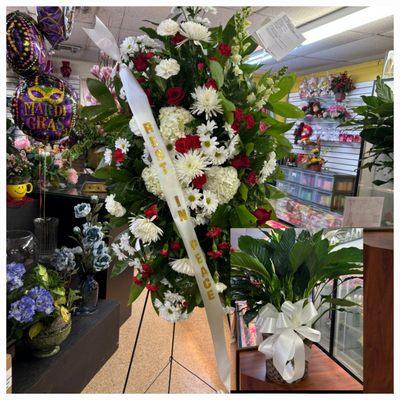 This presentation and live plant was design and selected with my trust and hope they would get it right!! Wow