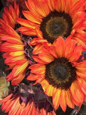 Schnucks Flowers & Gifts