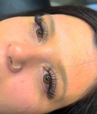 Best Lashes