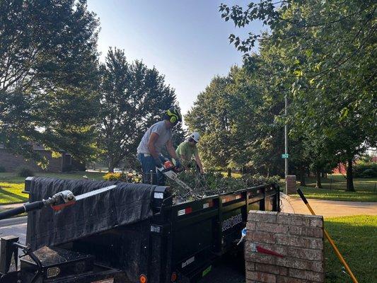 Two workers wearing safety gear stand on a trailer filled with cut branches, using chainsaws to break down debris after tree ...