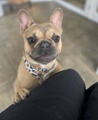 Dolce looking so fresh and clean!