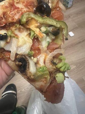 There was a fly in my pizza. I would've even get nothing again from here