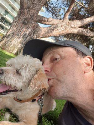 Lucy's Dog Walking Services