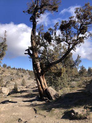 Cline Falls State Park