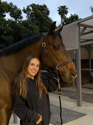 Greystone Equestrian