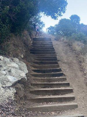 We didn't get to go far up because I had my baby in a stroller.